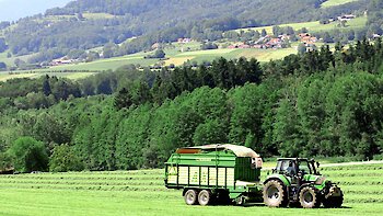 Einblicke in die Landwirtschaft: Wiesenmähen auf dem Ederhof im Bayerischen Wald